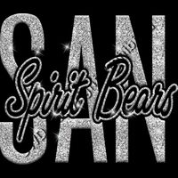 GLT95 SILVER GLITTER Thumbnail